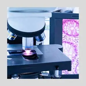 Topic1 Image