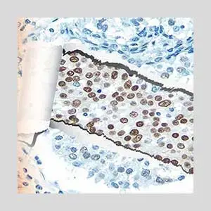 Topic3 image