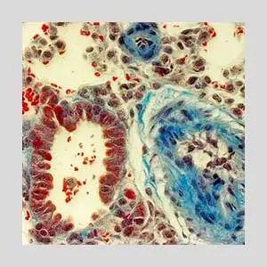 Topic7 Image