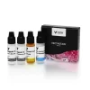 VECTASTAIN® ABC-AP Kit, Alkaline Phosphatase (Mouse IgG)