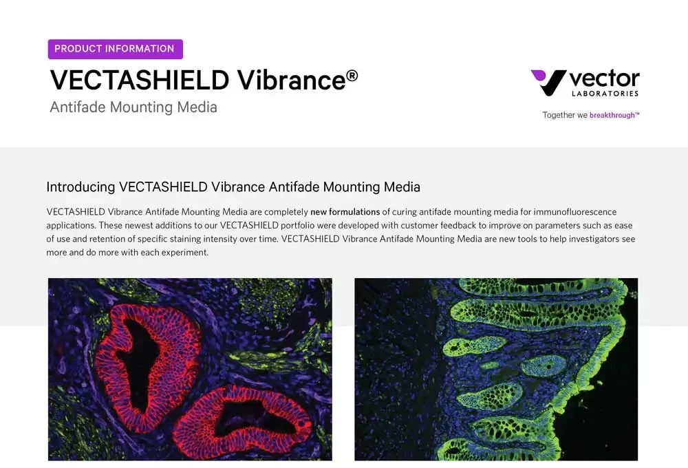 cover VL LIT3017 VECTASHIELD Vibrance Brochure Cover 1 jpg