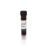 Horse Anti-Mouse IgG Antibody (H+L), DyLight™ 549