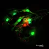 Horse Anti-Mouse IgG Antibody (H+L), DyLight™ 488