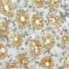 Small Bowel (double label): CD45 (m); VECTASTAIN Universal Elite ABC Kit, DAB+Ni substrate (gray/black); Epithelial Specific Antigen (m), VECTASTAIN Universal Elite ABC Kit, DAB substrate (brown).