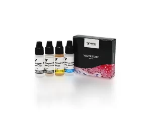 VECTASTAIN® ABC-HRP Kit, Peroxidase (Rabbit IgG)