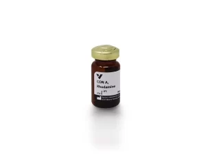 Concanavalin A (Con A), Rhodamine