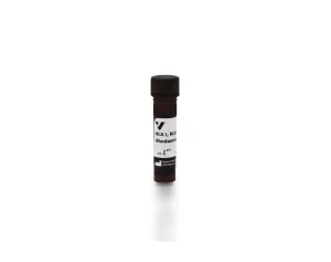 Ricinus Communis Agglutinin I (RCA I, RCA120), Rhodamine