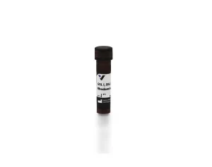 Griffonia (Bandeiraea) Simplicifolia Lectin I (GSL I, BSL I), Rhodamine