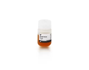 Normal Horse Serum Blocking Solution