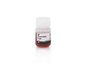 Normal Rabbit Serum Blocking Solution