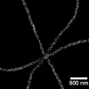 2d1 350 2 jpg