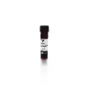 Ulex Europaeus Agglutinin I (UEA I), DyLight® 594