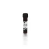 Griffonia (Bandeiraea) Simplicifolia Lectin I (GSL I, BSL I), Fluorescein