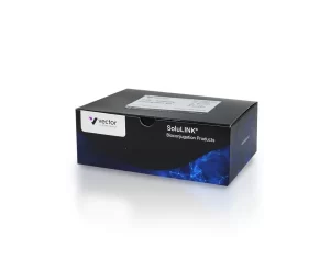 R-PE Antibody Conjugation Kit