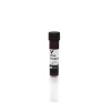 Wheat Germ Agglutinin (WGA), Rhodamine