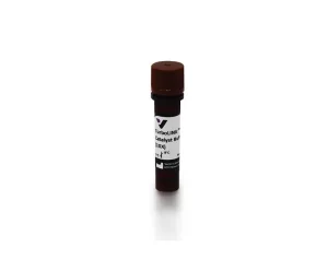10X TurboLink™ Catalyst Buffer