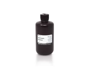 10x Casein Solution