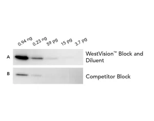 4-fold serial dilutions of human recovered plasma were transferred to nitrocellulose. Membranes were blocked with WestVistionTM Block & Diluent (A) or Competitor Block (B), probed with Rabbit anti-Transferrin antibody (0.25 ug/ml), and detected with WestV