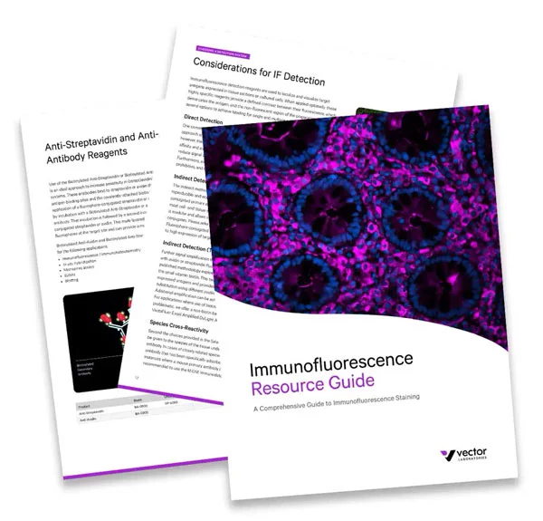 VL IF Guide pages