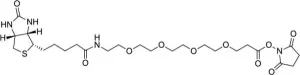 B103 structure