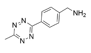 CCT 1011 Structure e1695451454821
