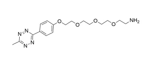 CCT 1012 Structure e1695447919268