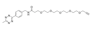 CCT 1013 Structure e1695451387641