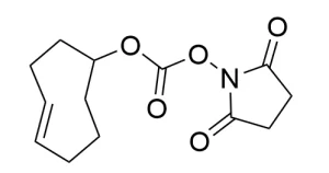 CCT 1016 Structure e1695451050978