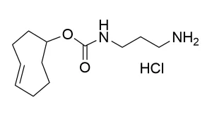 CCT 1021 Structure e1695451363417