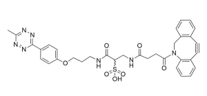 CCT 1022 Structure e1695451000985