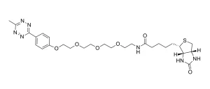 CCT 1024 Structure