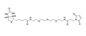 CCT 1029 Structure