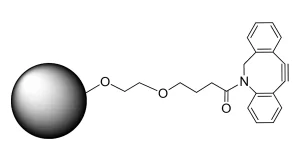 CCT 1034 Structure