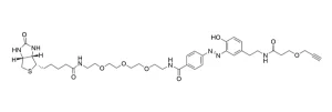 CCT 1042 Structure