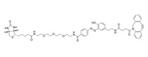 CCT 1043 Structure