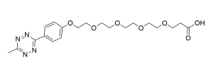 CCT 1073 Structure e1695451149780