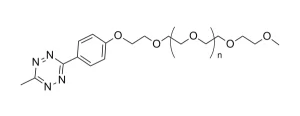 CCT 1091 Structure e1695451091307