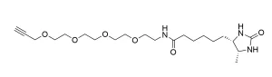 CCT 1109 Structure