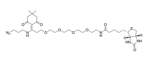 CCT 1136 Structure