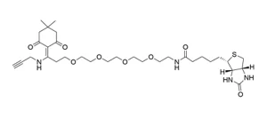 CCT 1137 Structure