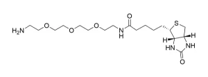 CCT 1187 Structure e1695450279838