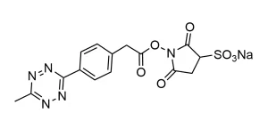 CCT 1193 Structure e1695450600427