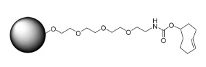 CCT 1198 Structure