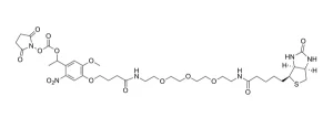CCT 1225 Structure