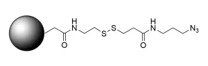CCT 1238 Structure
