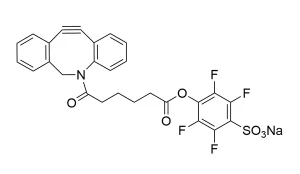 CCT 1259 Structure e1695449906507