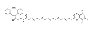 CCT 1260 Structure e1695450256622