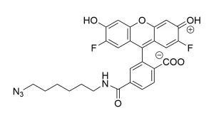 CCT 1264 Structure