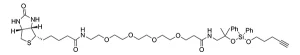 CCT 1331 Structure