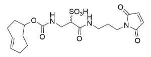 CCT 1355 Structure